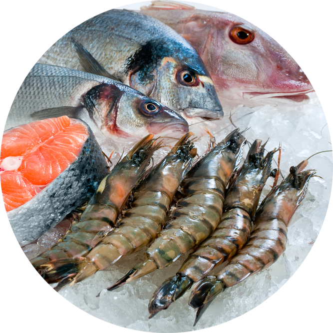 Pesce fresco Olbia