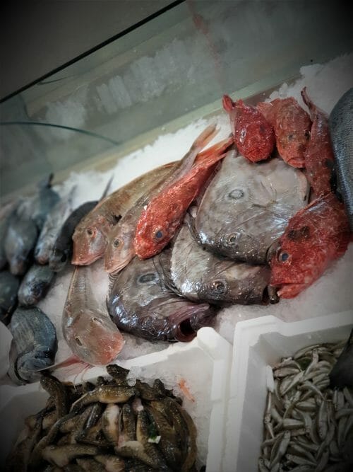 Pesce san Pietro - immagine 7