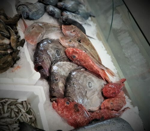 Pesce san Pietro - immagine 6