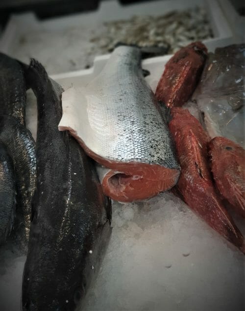 Salmone fresco intero