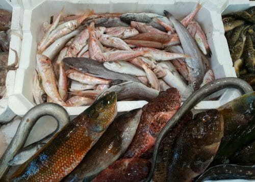 FRITTURA LOCALE FRESCA