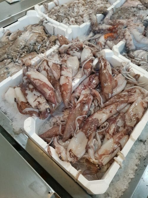 Calamari Freschi - immagine 3
