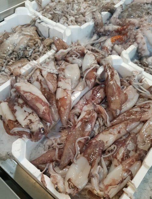 Calamari Freschi - immagine 2