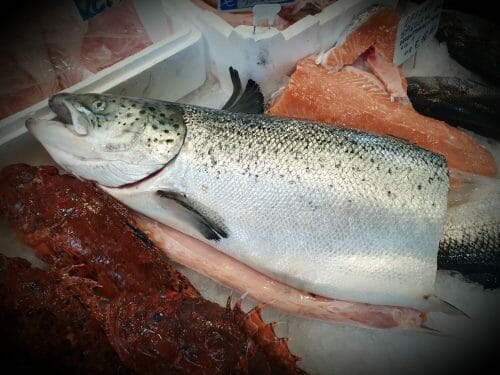 Filetto Salmone Fresco - immagine 3