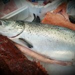 Salmone intero