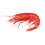Gambero Rosso