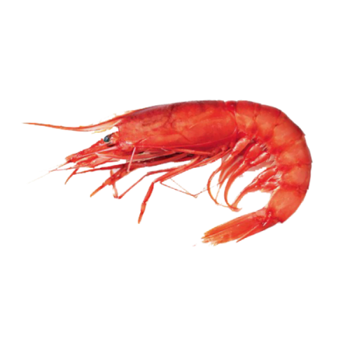 Gambero Rosso