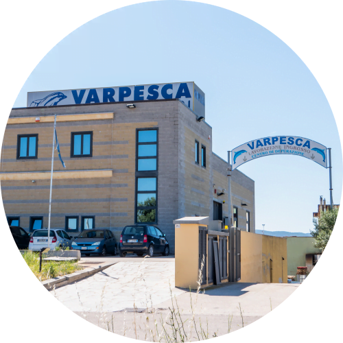 Pescheria Varpesca ingrosso e dettaglio in Sardegna