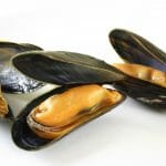 Cozze