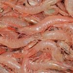 Gamberi Gobbetti Freschi