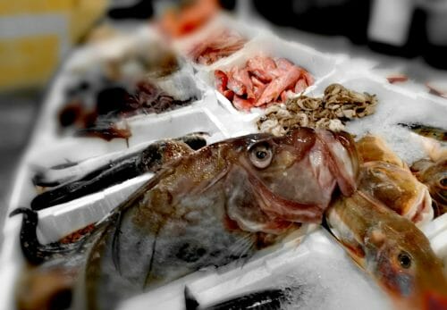 Pesce san Pietro - immagine 3