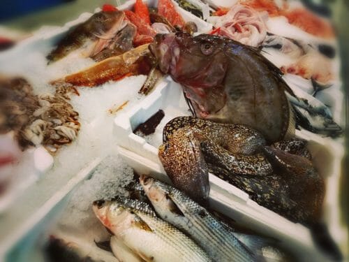 Pesce san Pietro - immagine 4