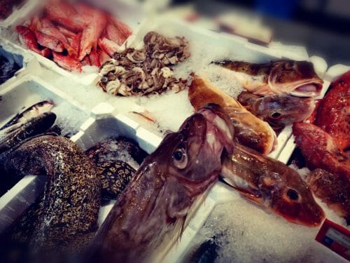 Pesce san Pietro - immagine 5